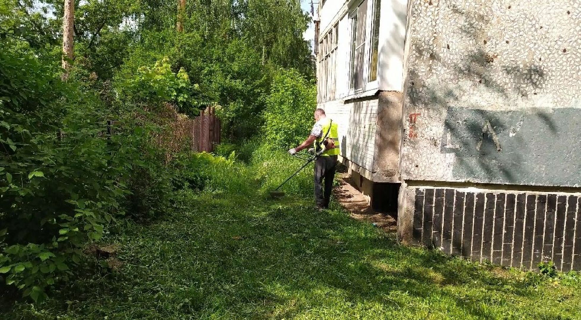 Покос, трава, благоустройство