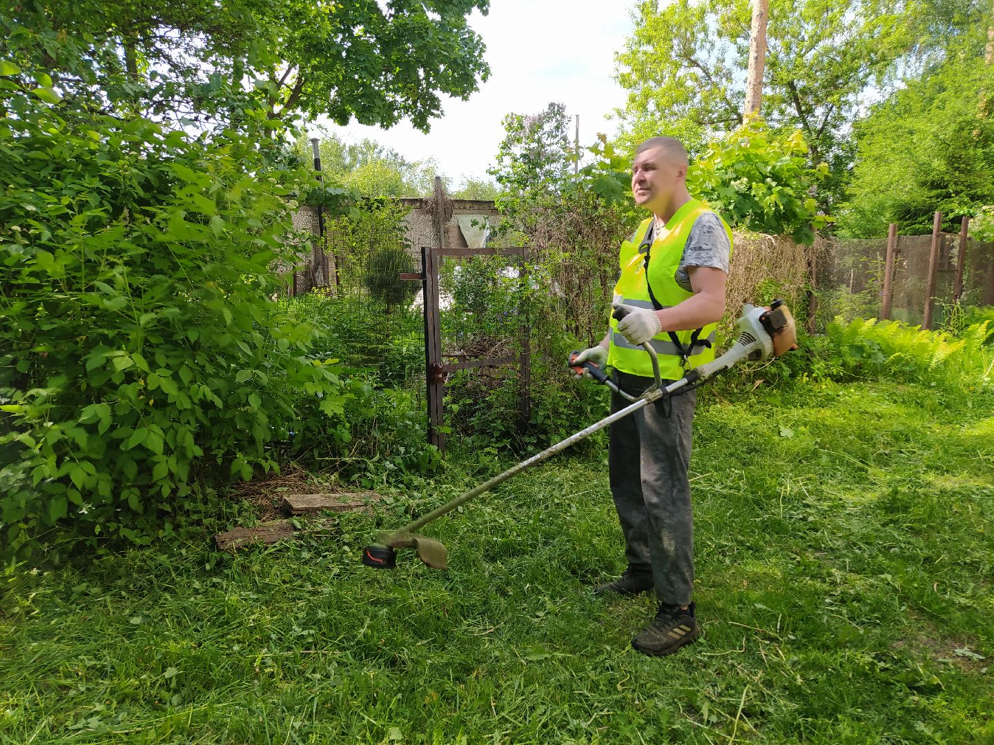 Покос, трава, благоустройство