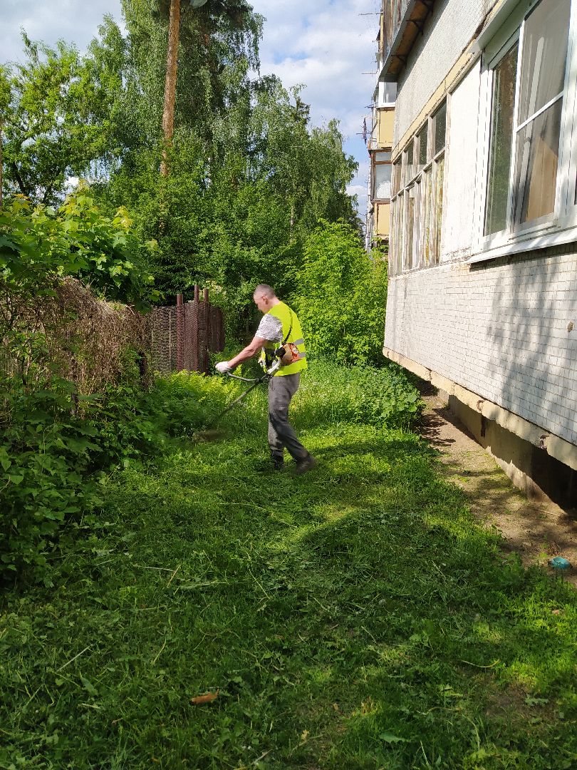 Покос, трава, благоустройство