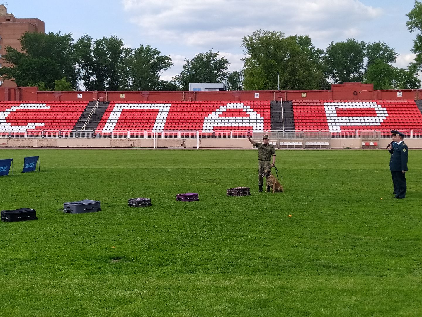 Кинолог, служба, таможня, ФТС, Чемпионат