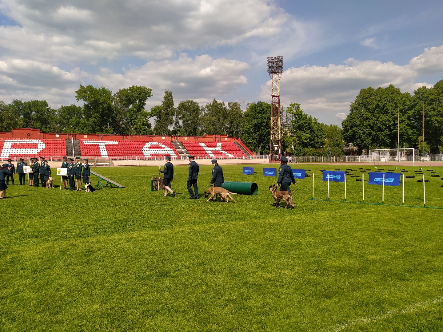 Кинолог, служба, таможня, ФТС, Чемпионат