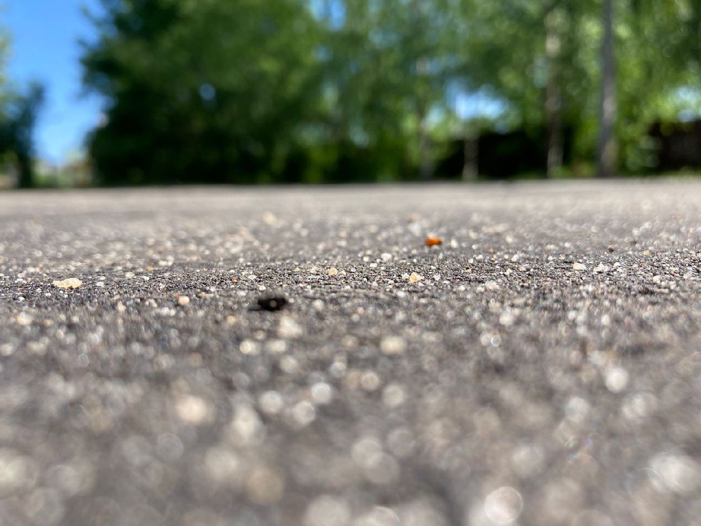 Наро-Фоминск, губернаторская площадка,