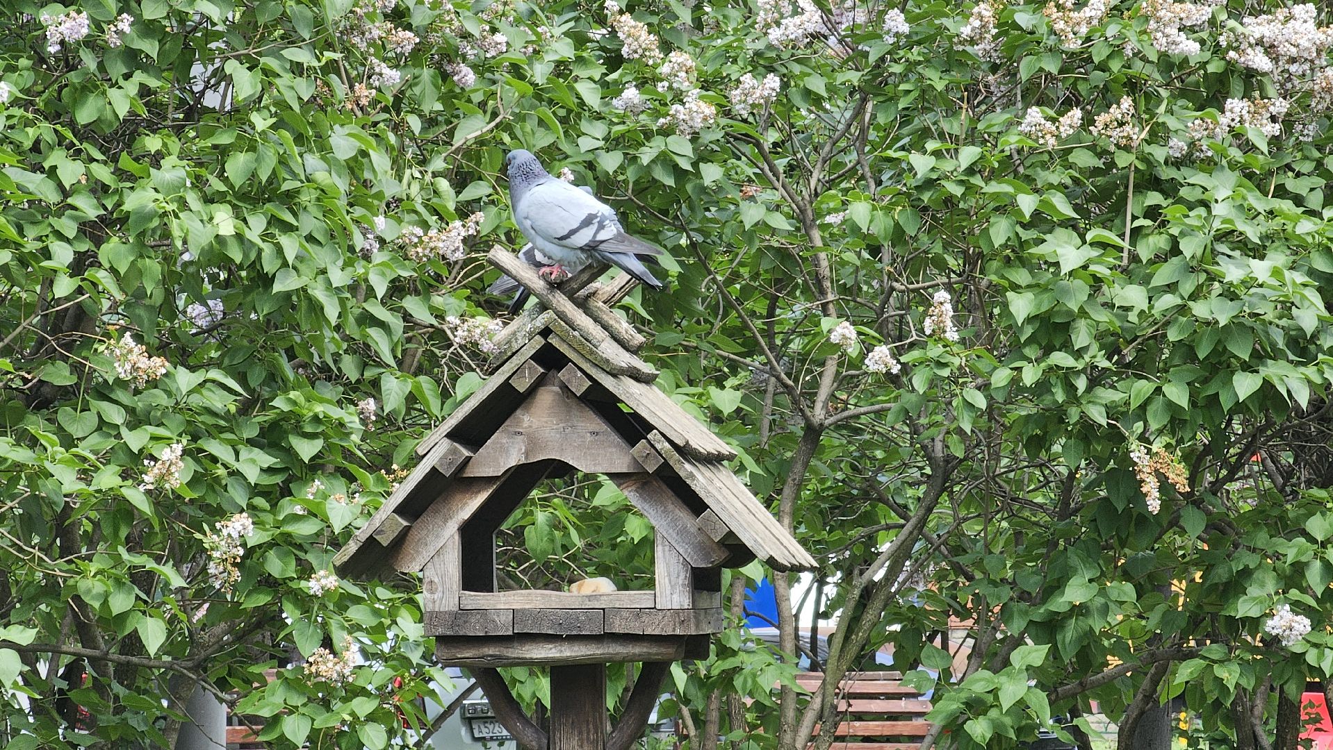 благоустройство дворов, ремонт, комфортная среда, Котельники