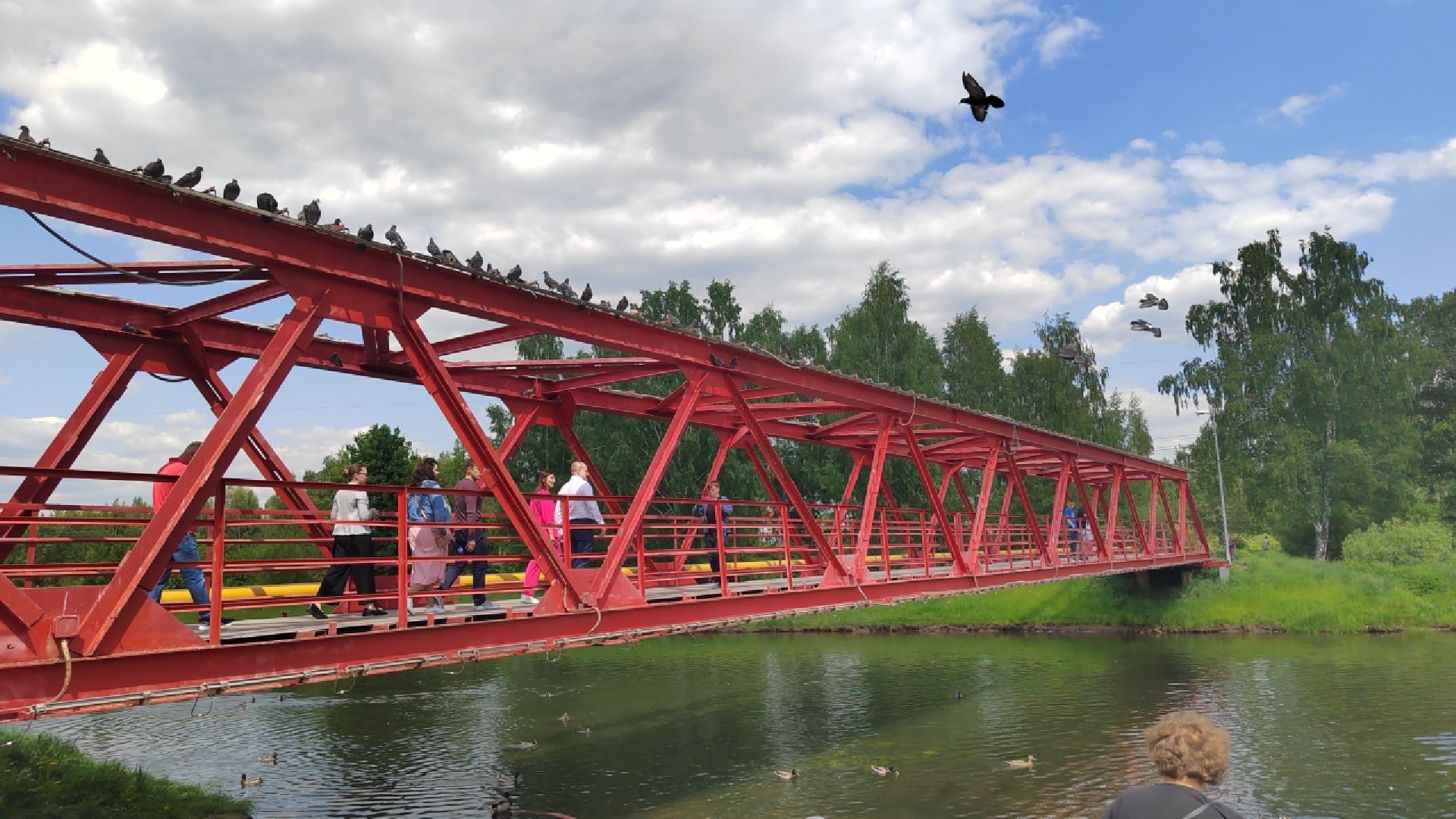 Пушкинский округ, Ивантеевка, городской парк, отдых, жители, досуг, ЖКХ, содержание территорий