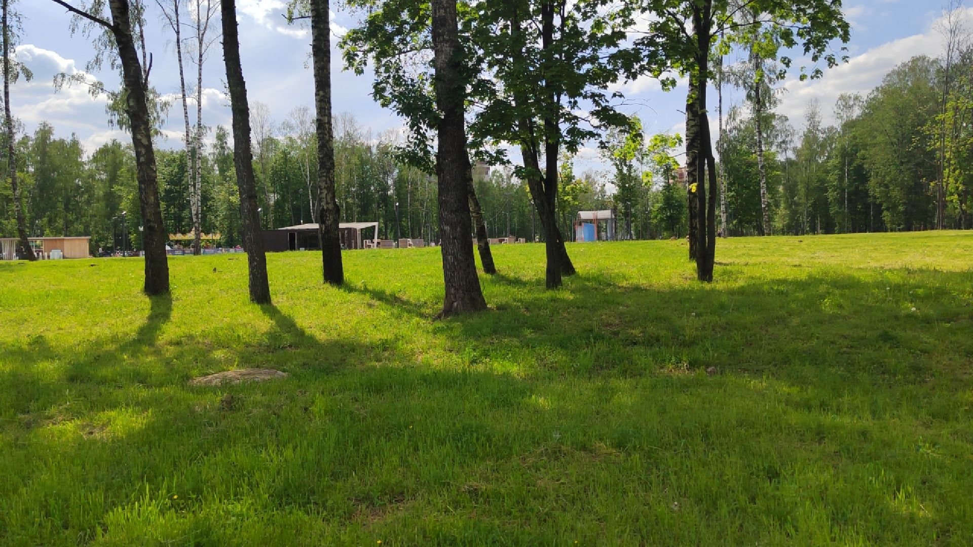 Пушкинский округ, Ивантеевка, городской парк, отдых, жители, досуг, ЖКХ, содержание территорий