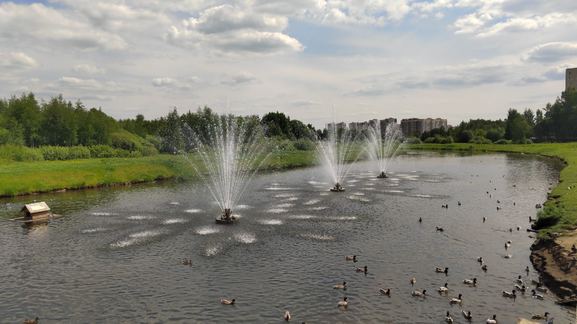 Пушкинский округ, Ивантеевка, городской парк, отдых, жители, досуг, ЖКХ, содержание территорий