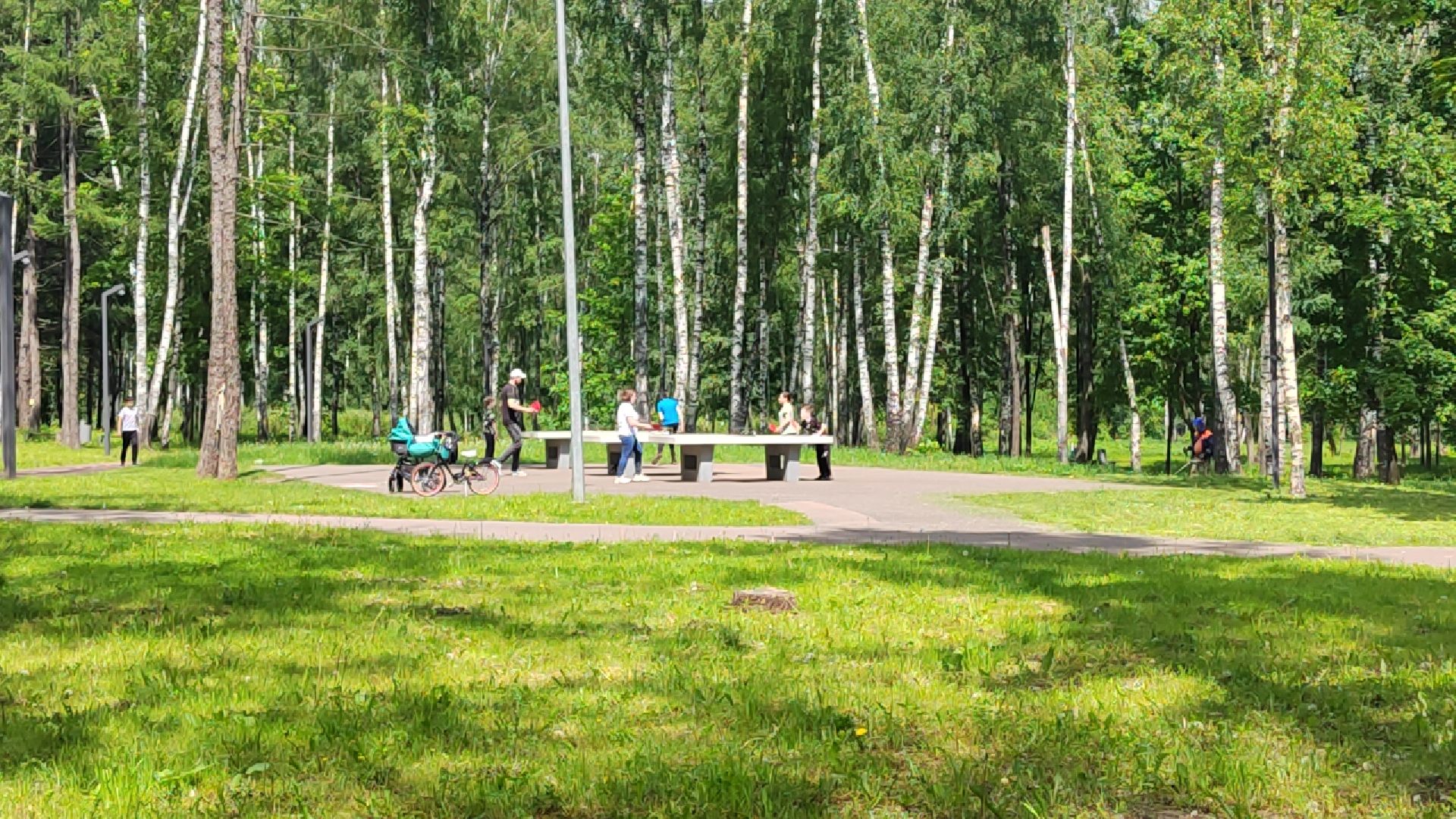 Пушкинский округ, Ивантеевка, городской парк, отдых, жители, досуг, ЖКХ, содержание территорий