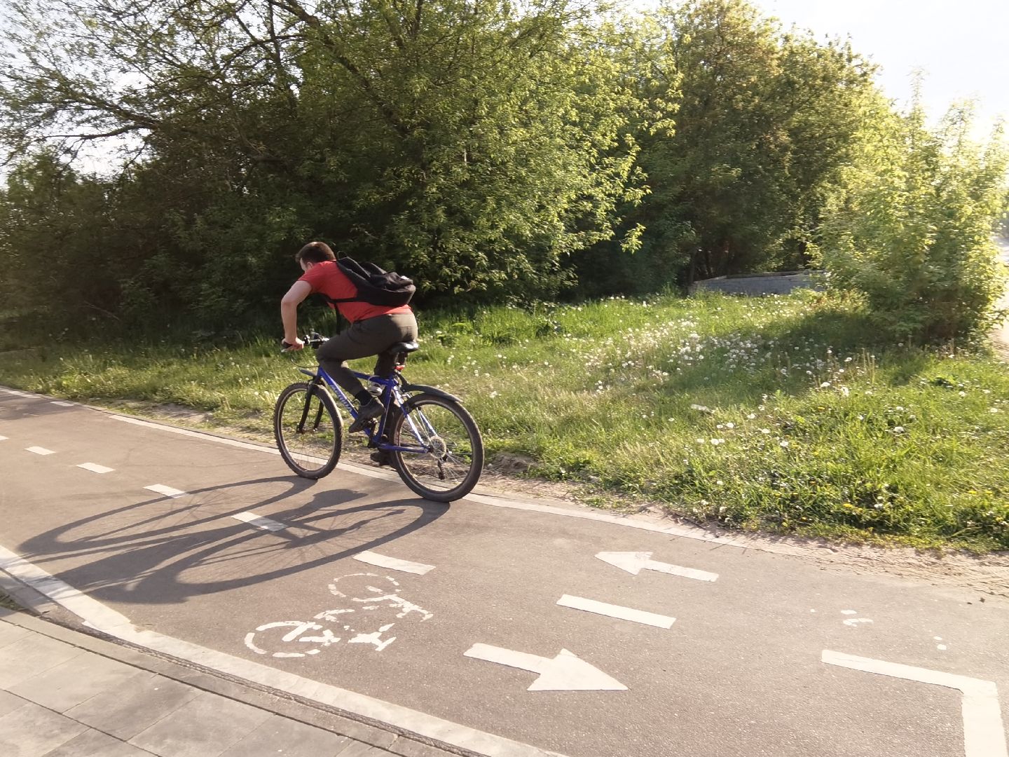 Балашиха, предупреждающие таблички, велосипед, самокат, велодорожки, велопешеходный маршрут