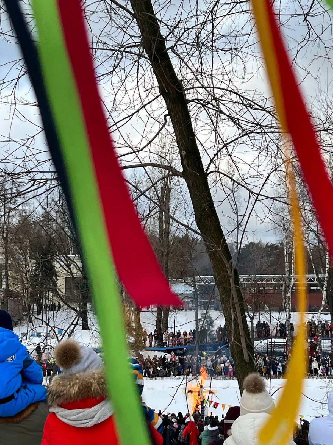 сельское хозяйство, ягодоводство, ягодная ферма, экологическое хозяйство.
