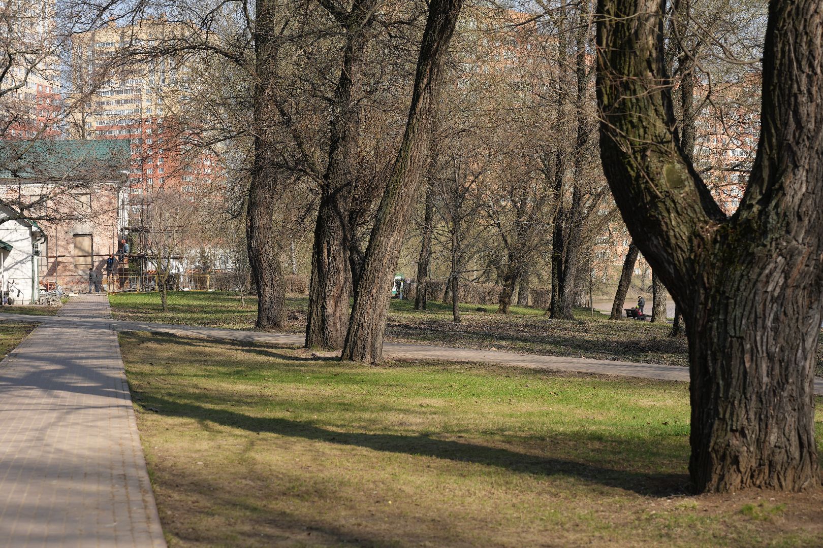 благоустройство, голосование, городская среда, Котельники
