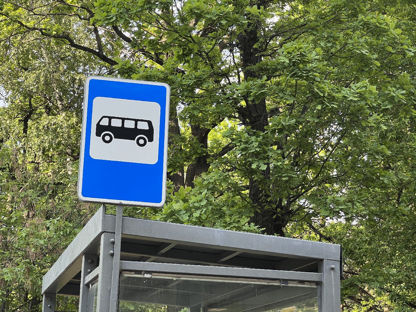 Химки, транспорт, маршрут, автобус