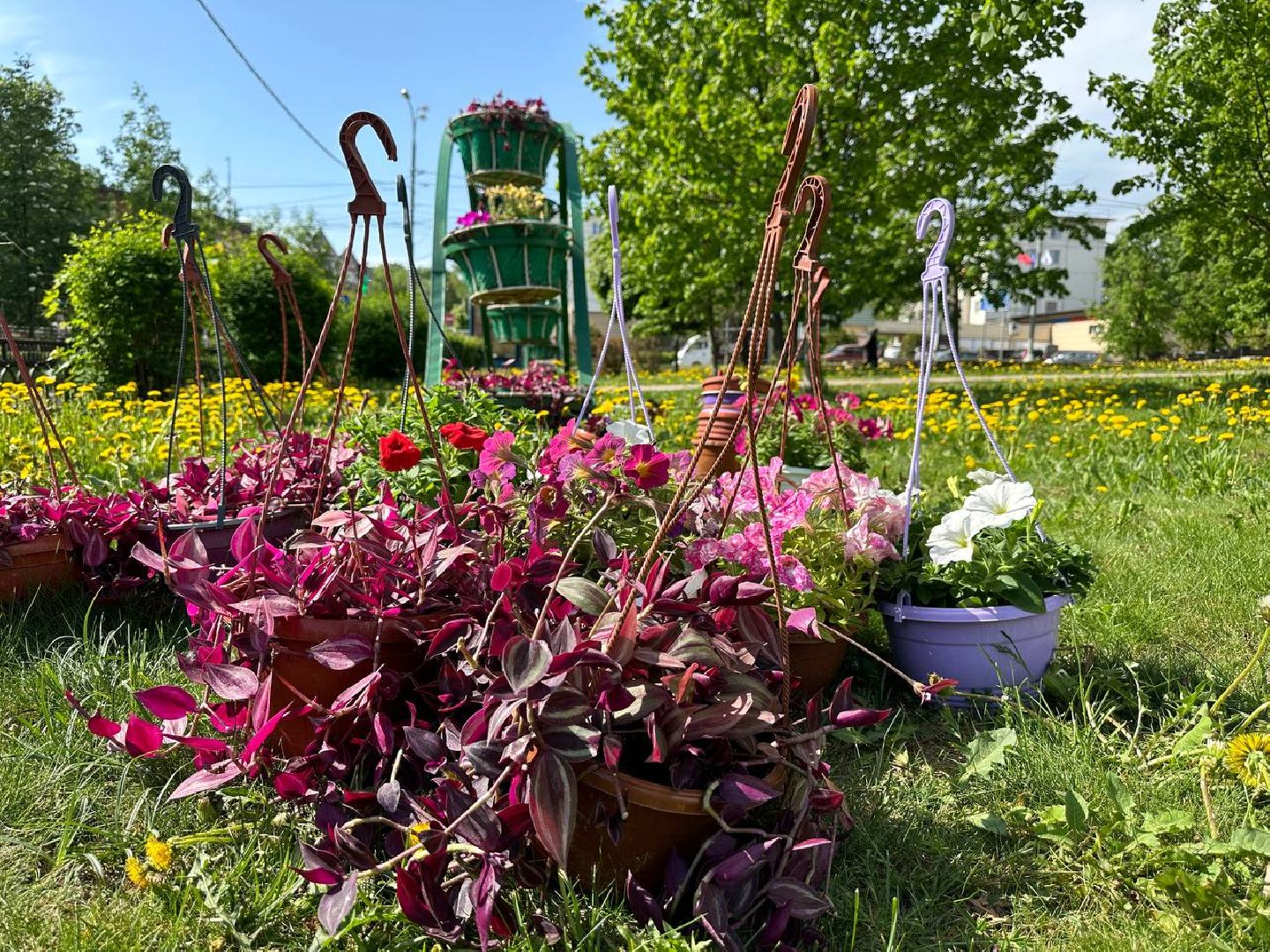 Можайск, Можайский городской округ, Подмосковье, цветы, благоустройство
