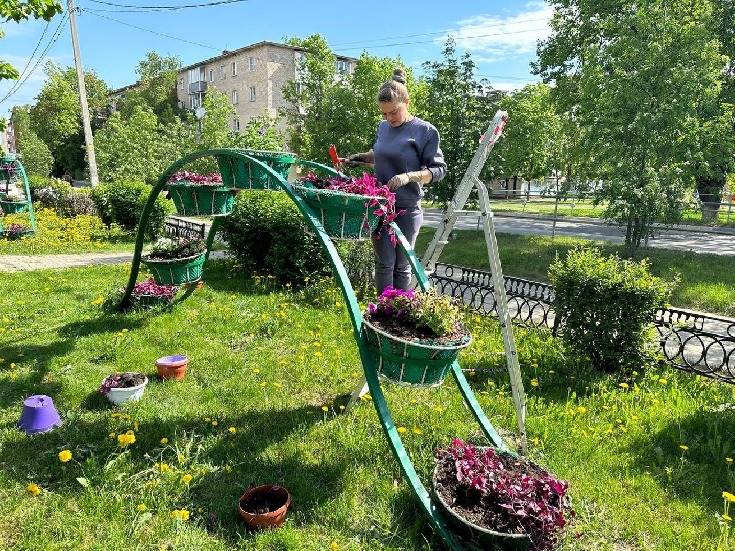 Можайск, Можайский городской округ, Подмосковье, цветы, благоустройство