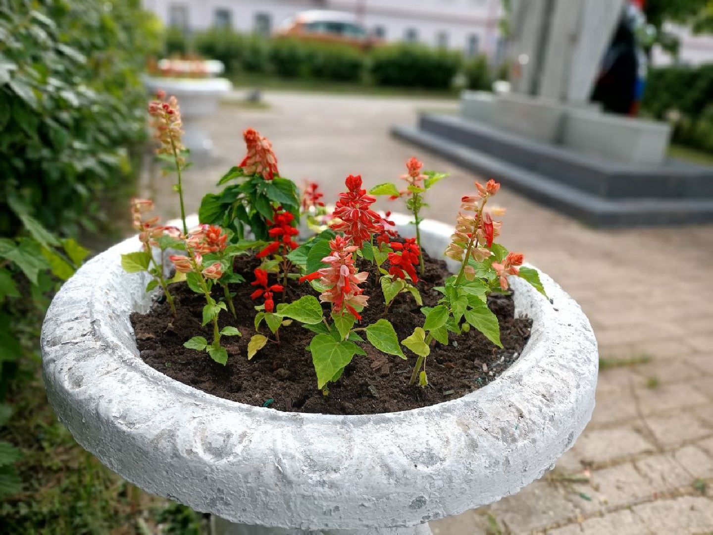 Можайск, Можайский городской округ, Подмосковье, цветы, благоустройство