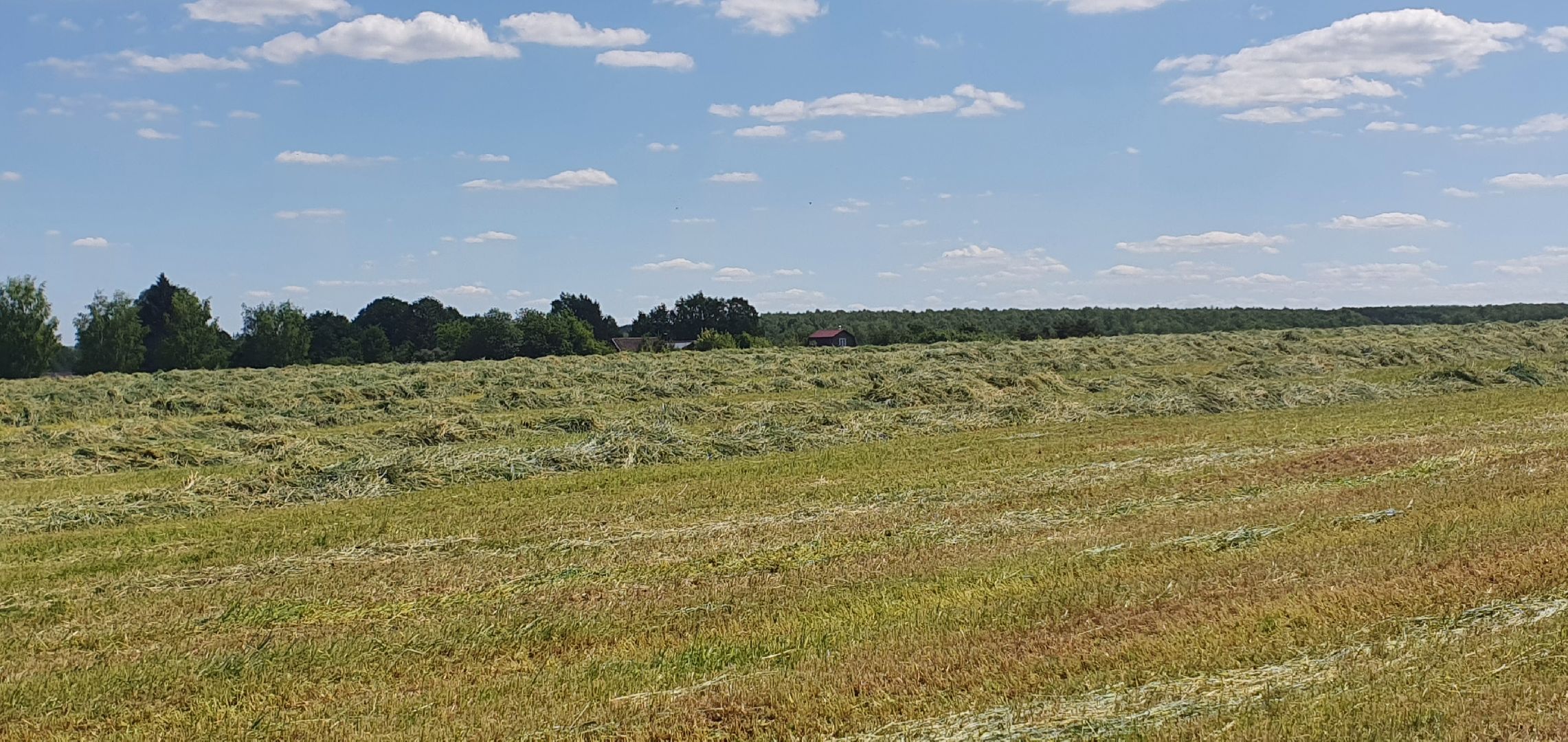 уборка урожая, Домодедово