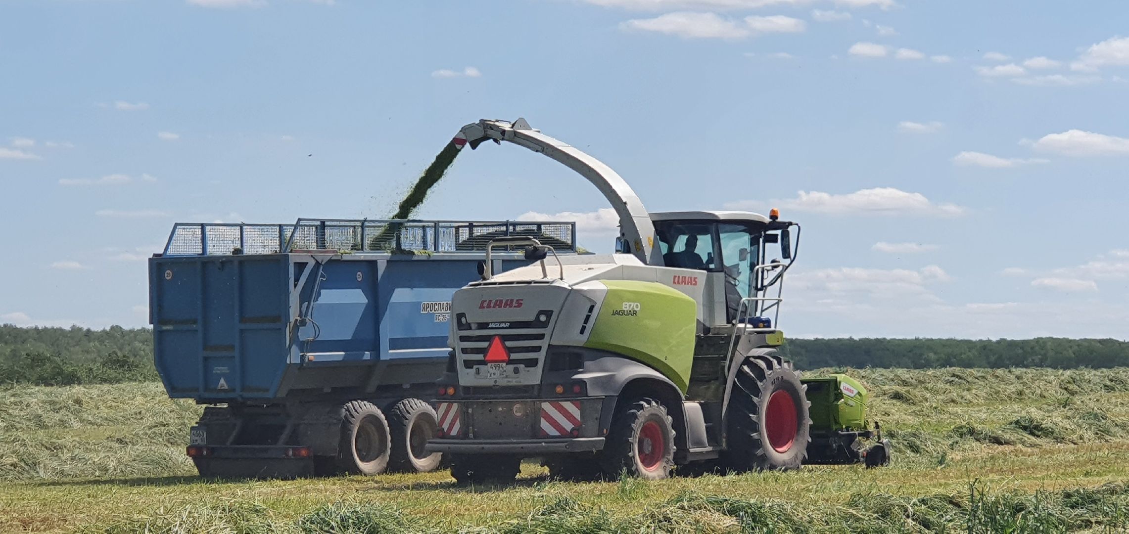 уборка урожая, Домодедово