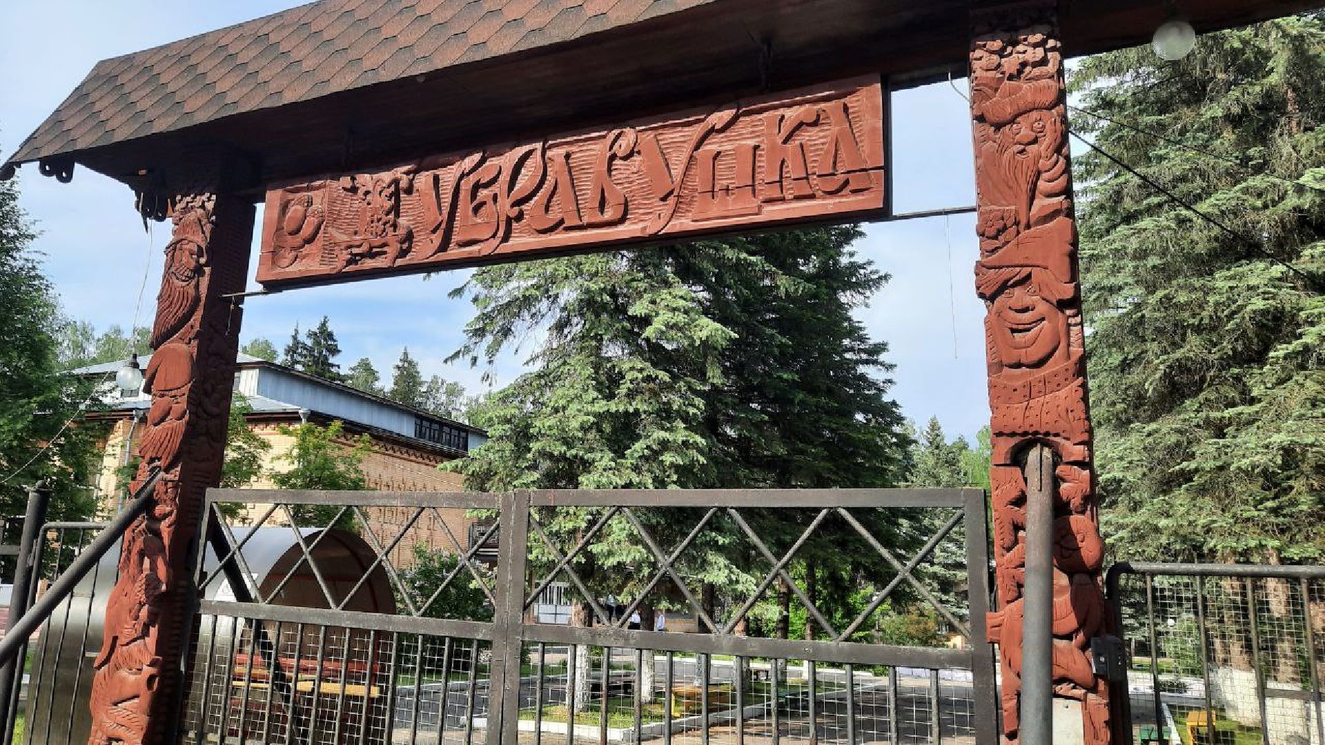 детский лагерь, дети, Воскресенск