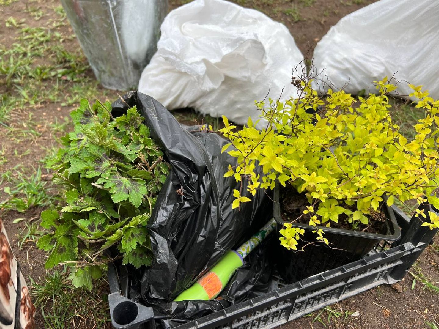 Солнечногорск, конкурс, клумба, кадеты, родители