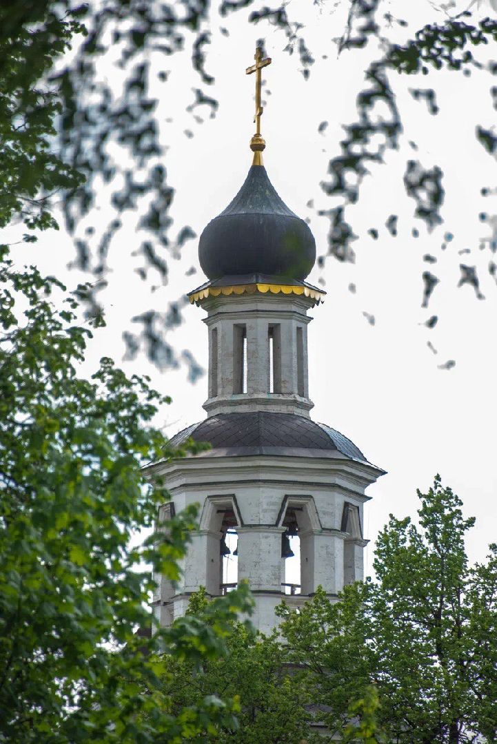 Балашиха, Подмосковье, культура, религия, храмы, книги, Полтево