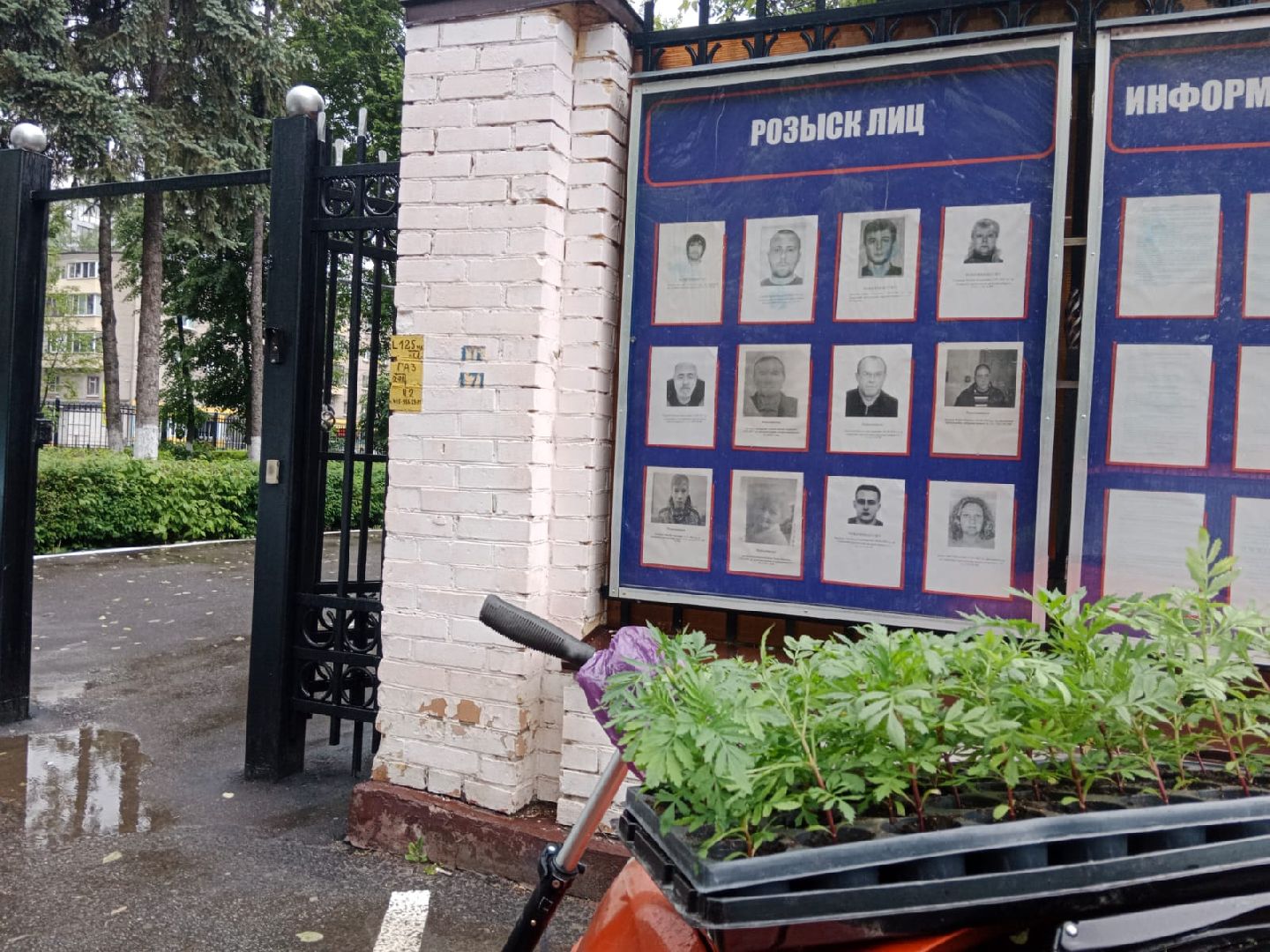 Город-сад, волонтёры, отдел, полиции, цветы