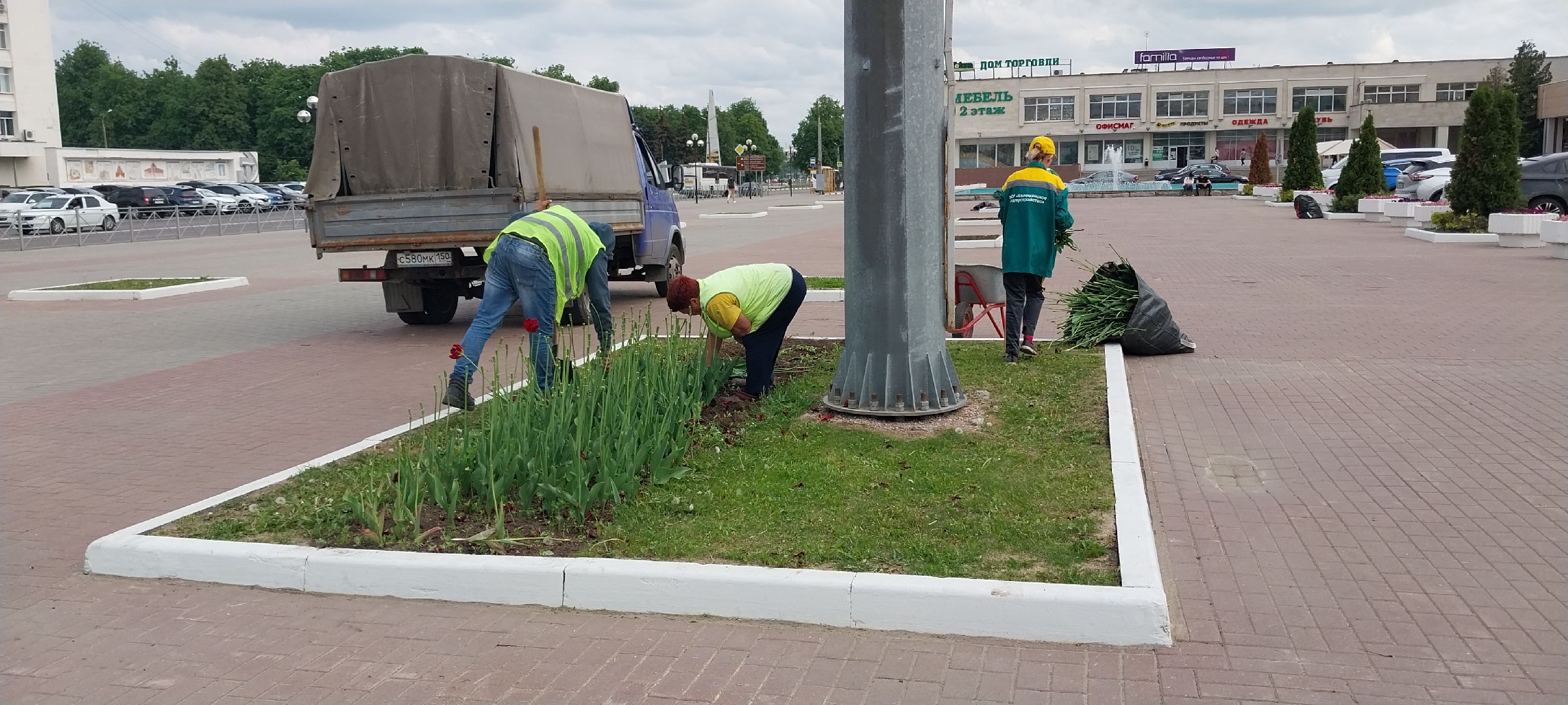 коломна, благоустройство, цветочное оформление