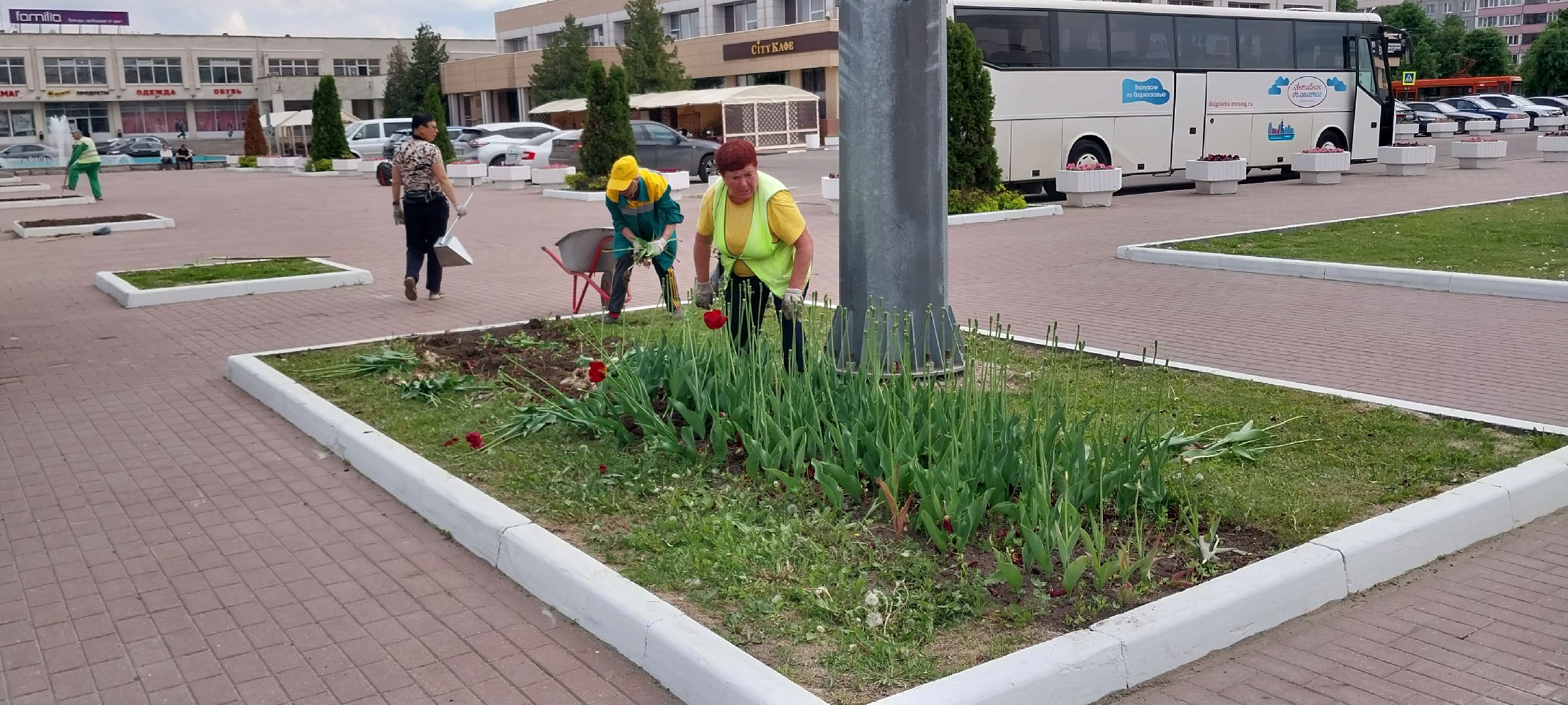 коломна, благоустройство, цветочное оформление