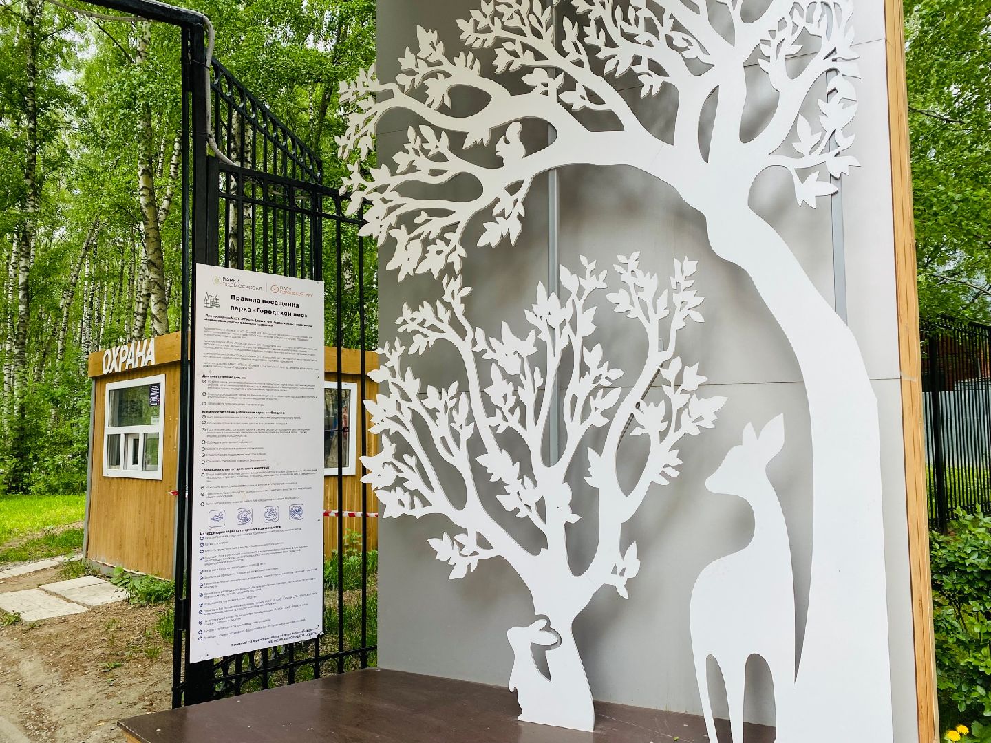 Домодедово, экопункт, экология, бонусы, пустая тара, экоинициатива