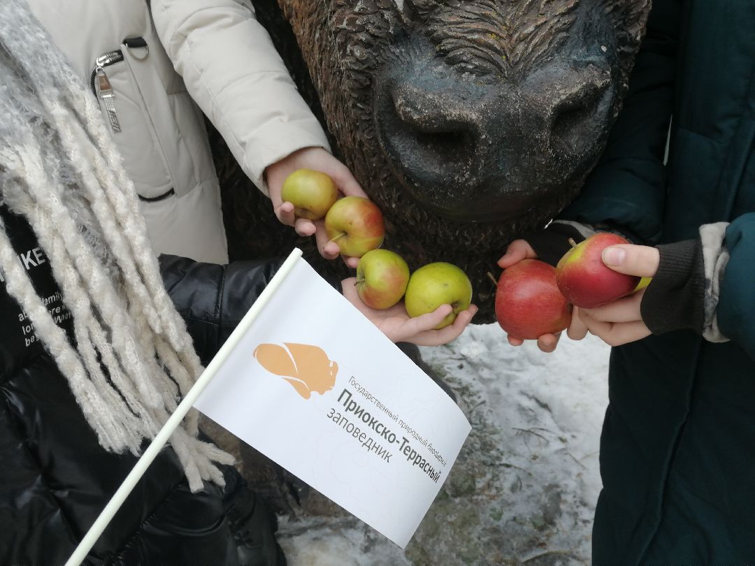 Протвино, Серпухов, образование, патриотизм