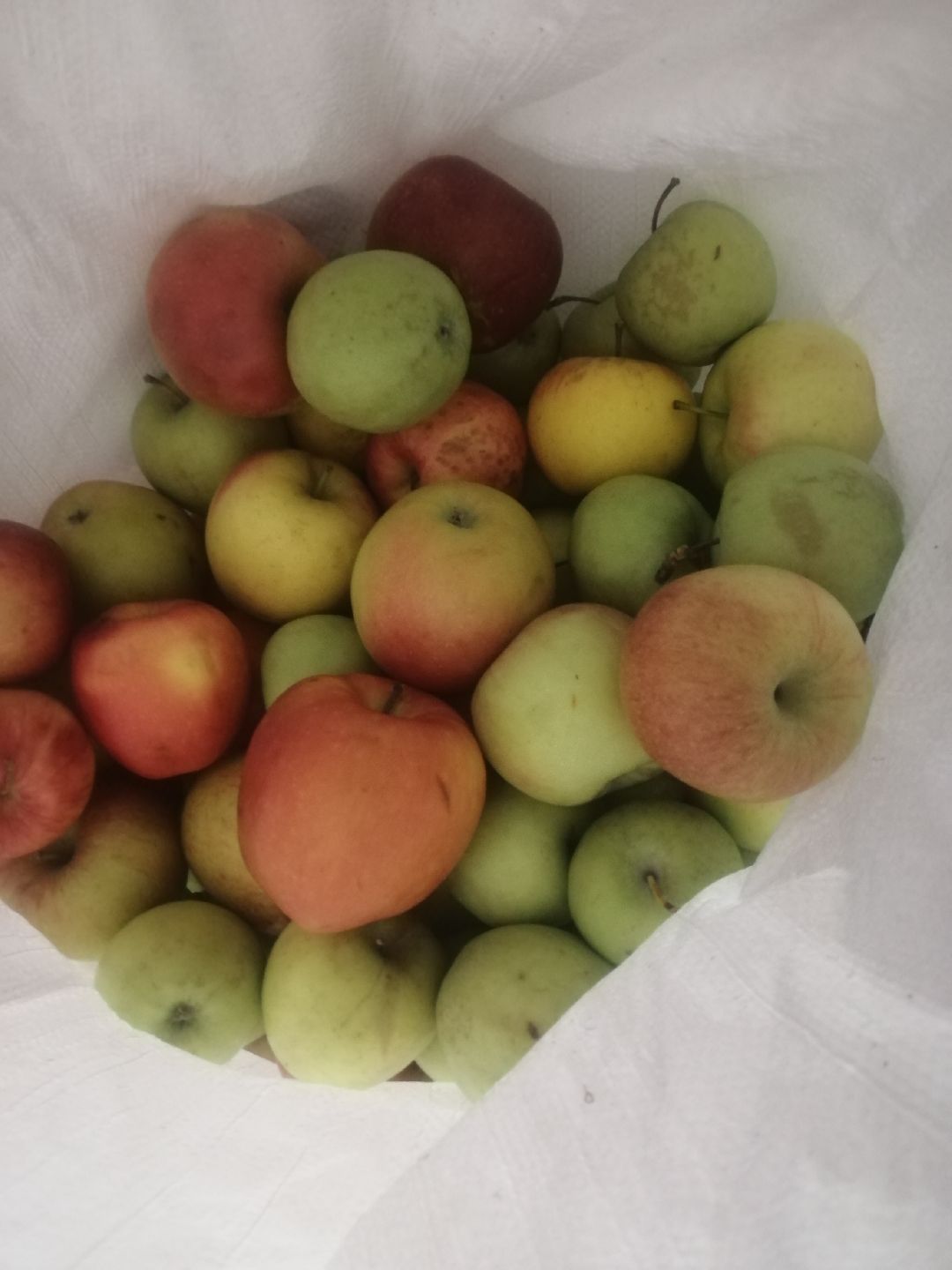 Протвино, Серпухов, образование, патриотизм