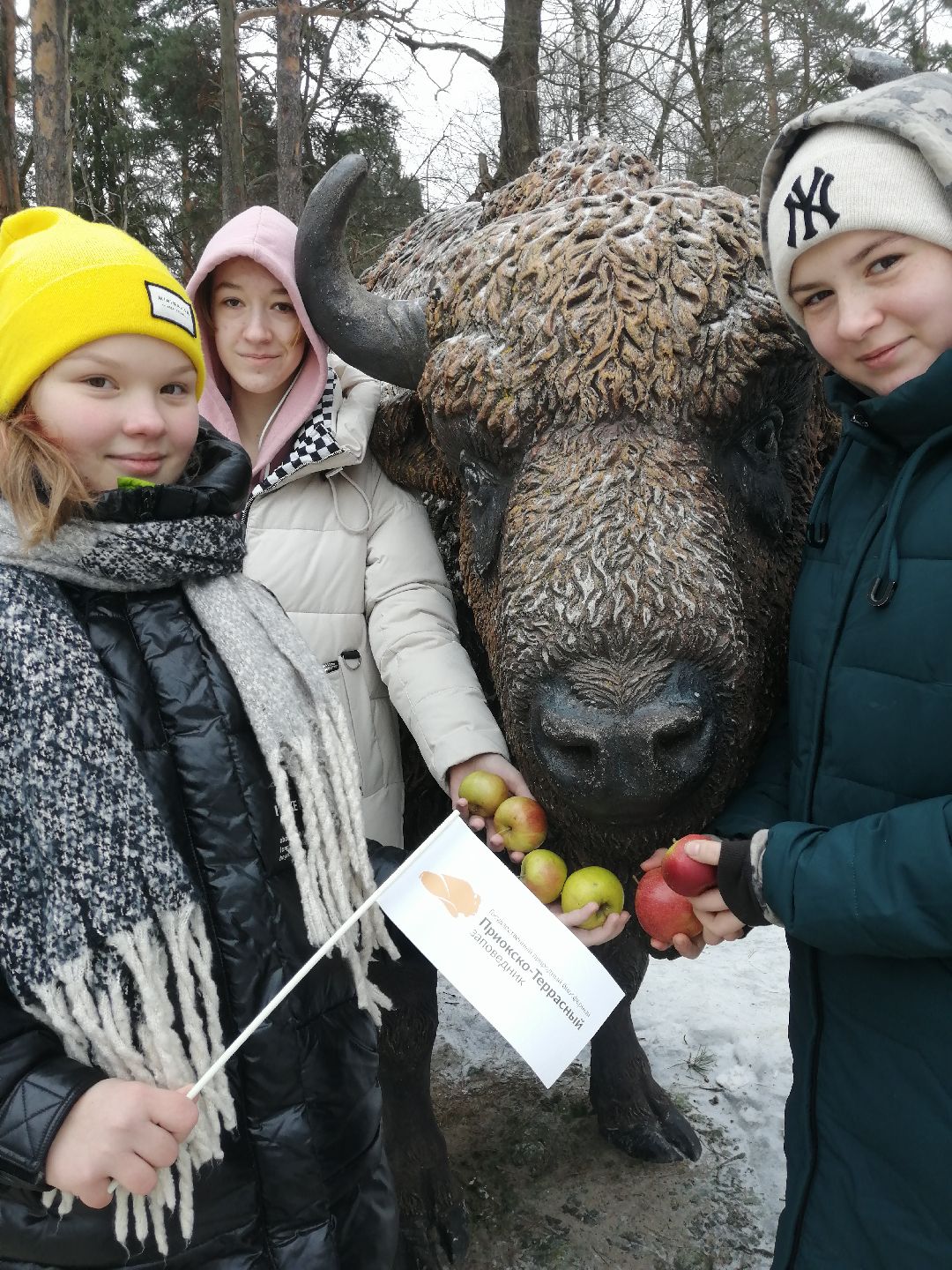 Протвино, Серпухов, образование, патриотизм