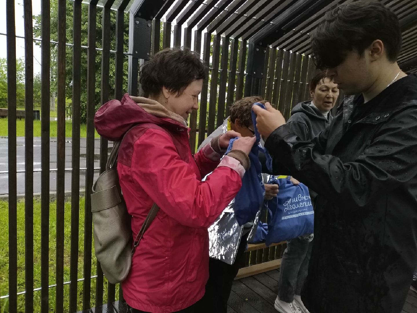 спорт, северная ходьба, активное долголетие, Лосино-Петровский