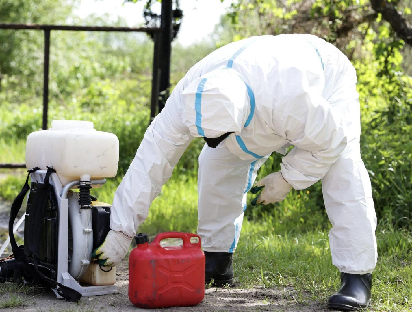 Солнечногорск, борщевик, борьба, благоустройство, город