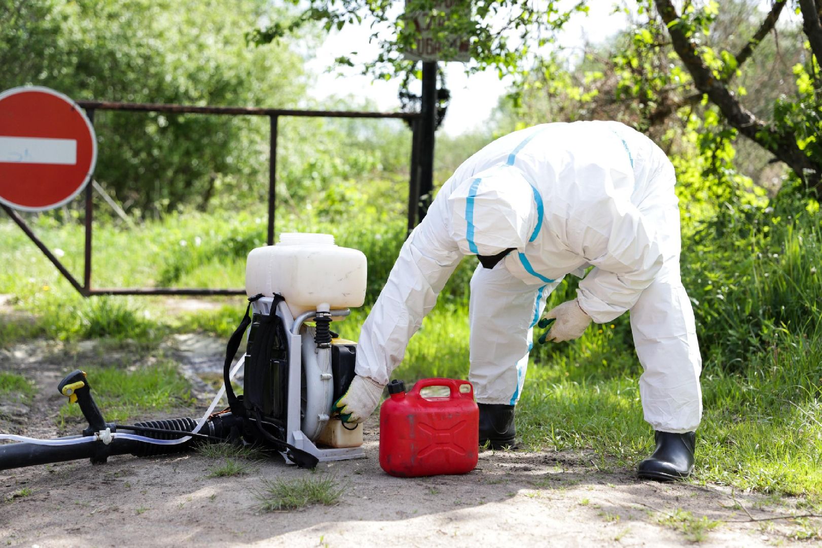 Солнечногорск, борщевик, борьба, благоустройство, город