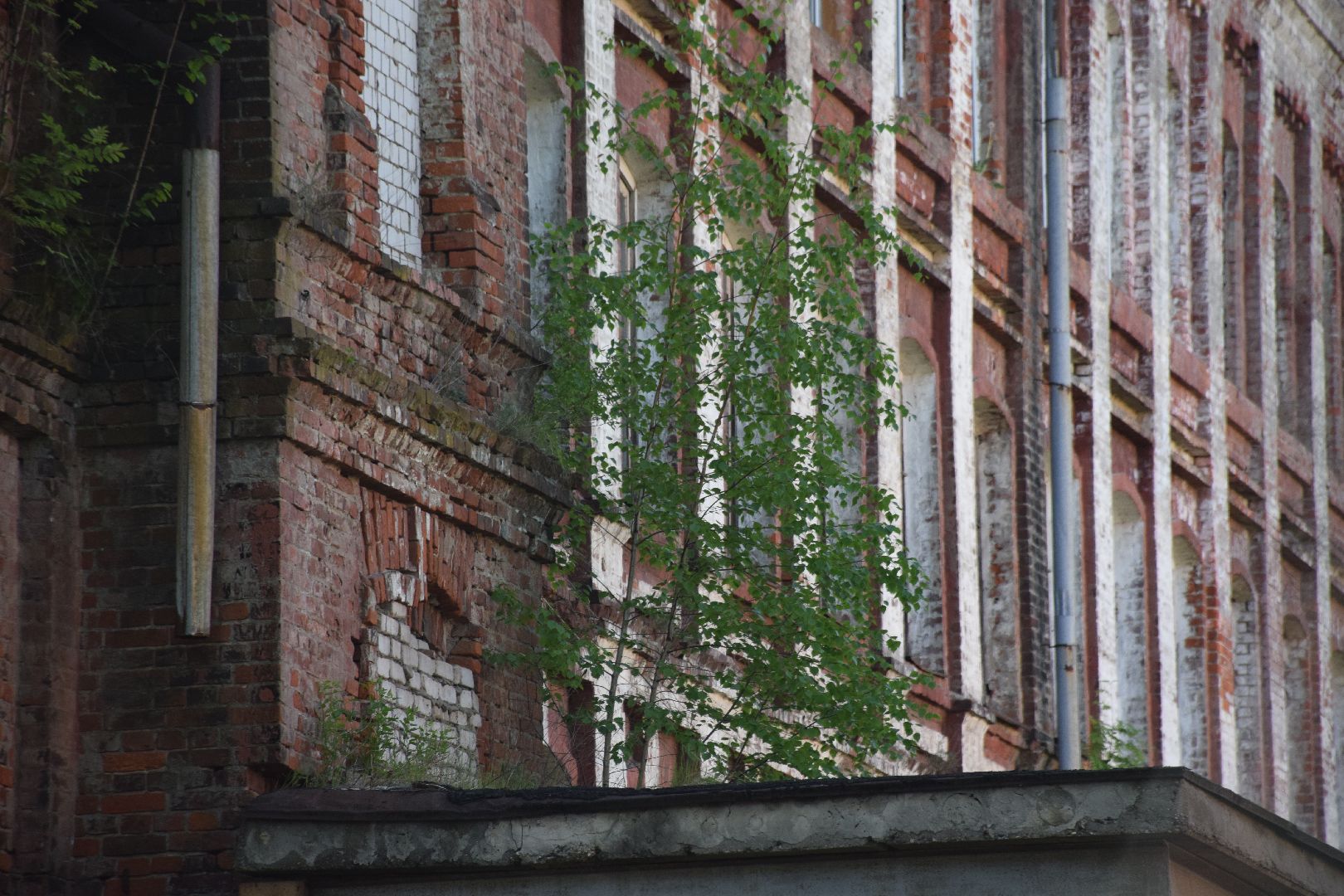 Павловский Посад, городской округ Павловский Посад, снос здания, ветхое жильё, аварийное жильё