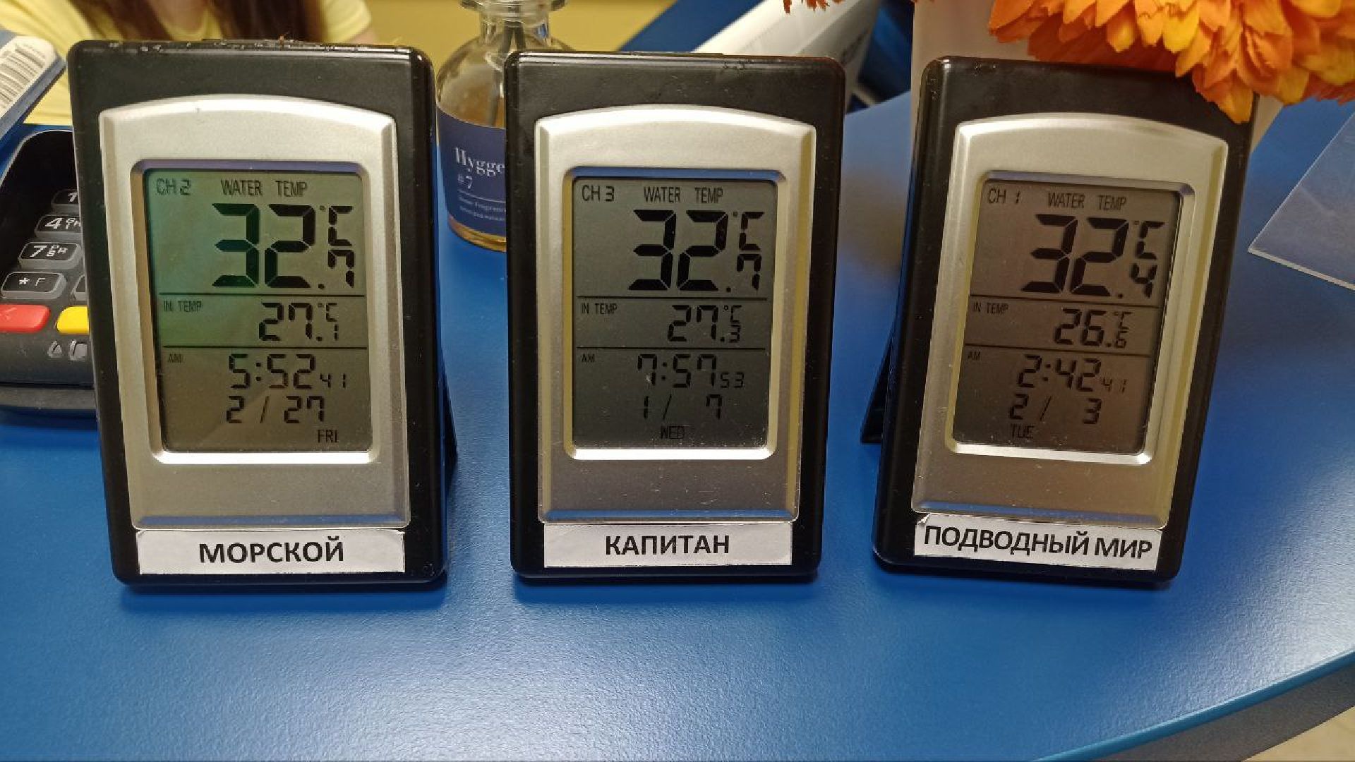 Реутов, спорт, плавание, бассейн, как рыбка в воде