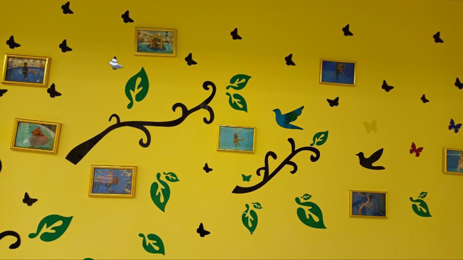 Реутов, спорт, плавание, бассейн, как рыбка в воде