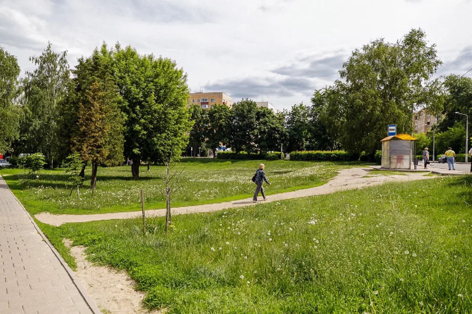 Благоустройство, сквер, Орехово-Зуево, Жилье и городская среда, онлайн голосование