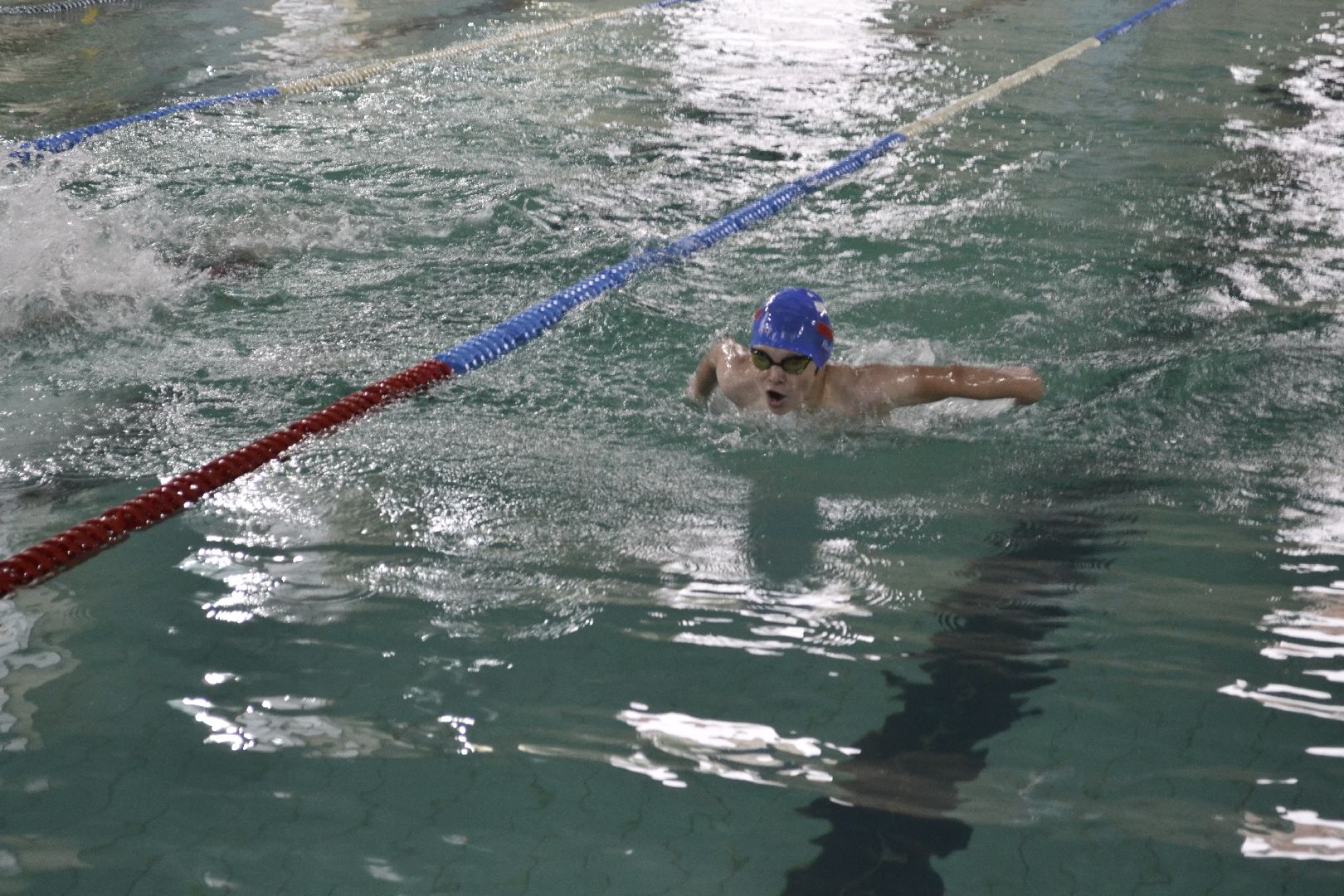 Балашиха, Подмосковье, спорт, плавание, соревнования