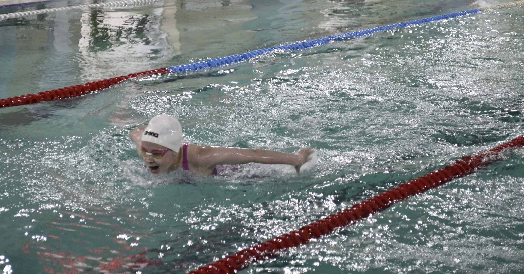 Балашиха, Подмосковье, спорт, плавание, соревнования