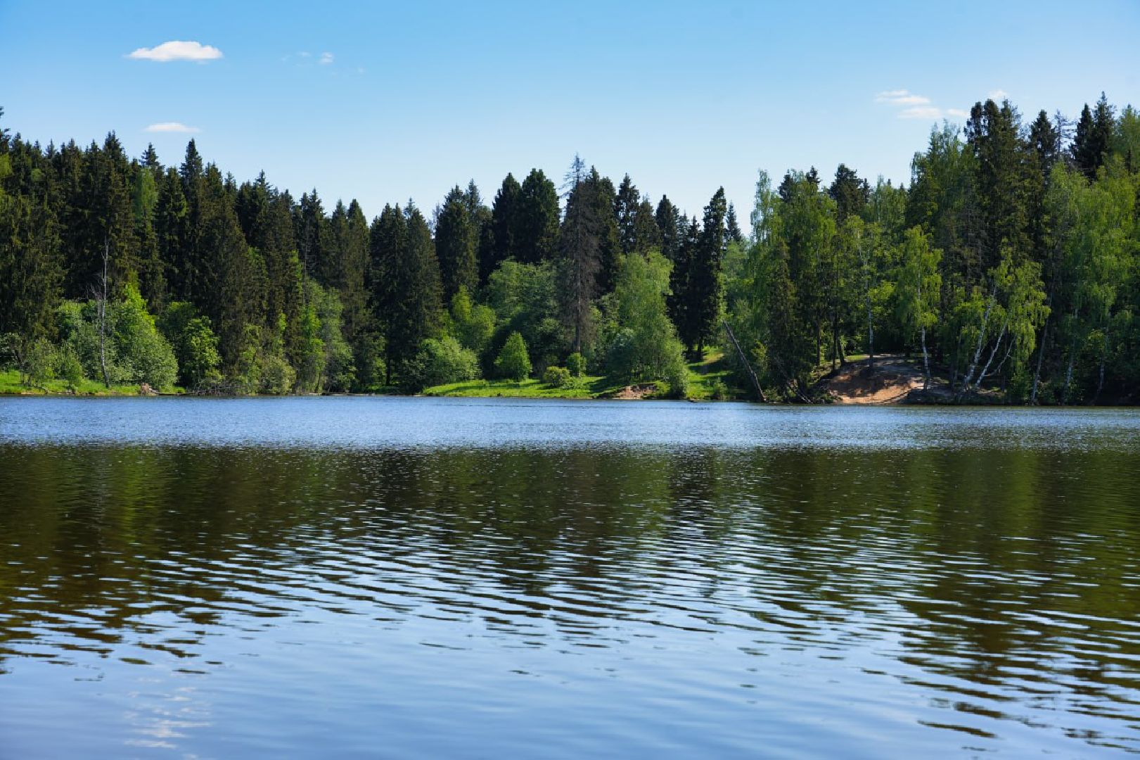Сергиев Посад, Сергиево-Посадский городской округ, Лето, Пляжи, Водоемы, Благоустройство, Купание