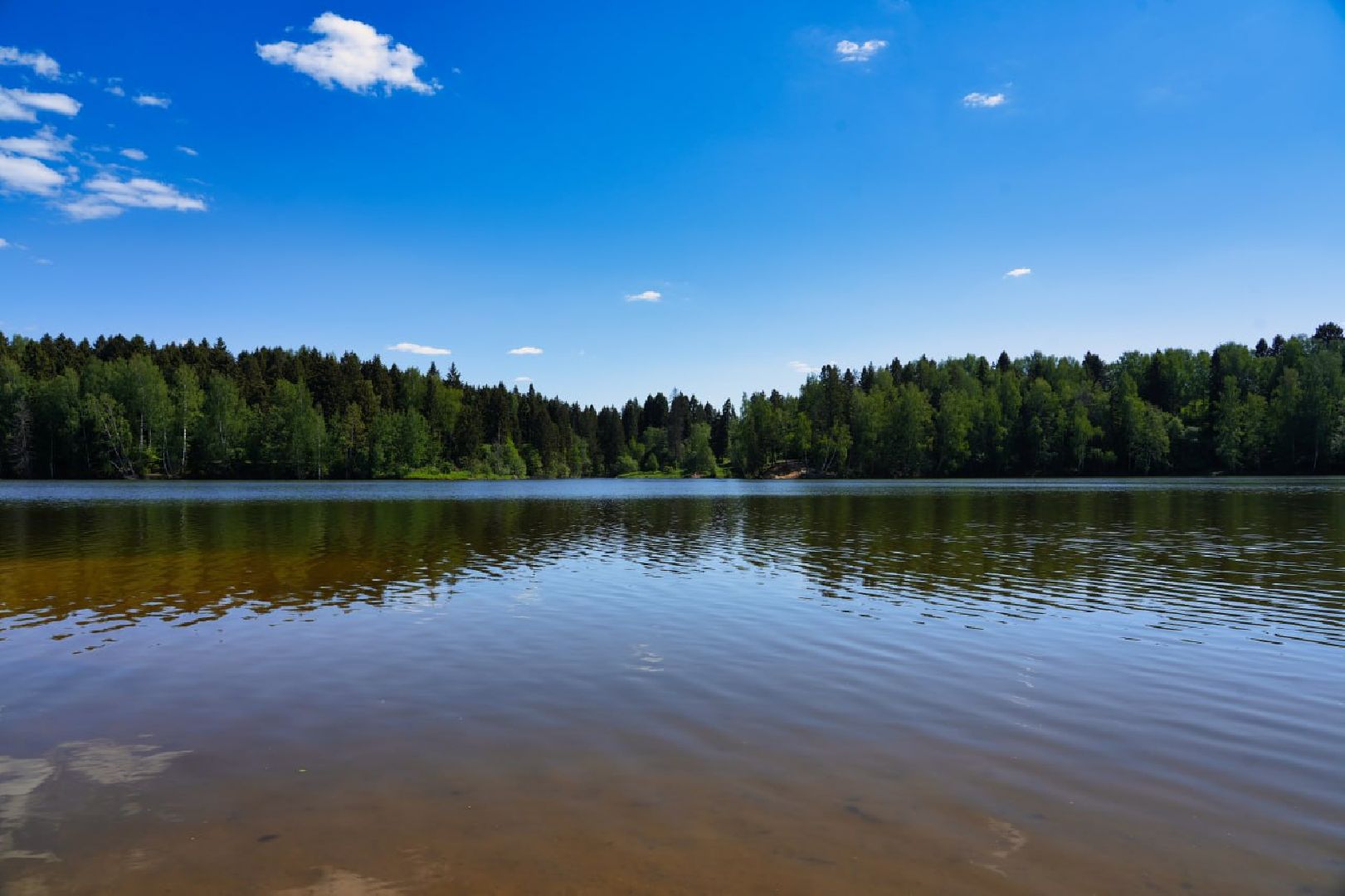 Сергиев Посад, Сергиево-Посадский городской округ, Лето, Пляжи, Водоемы, Благоустройство, Купание