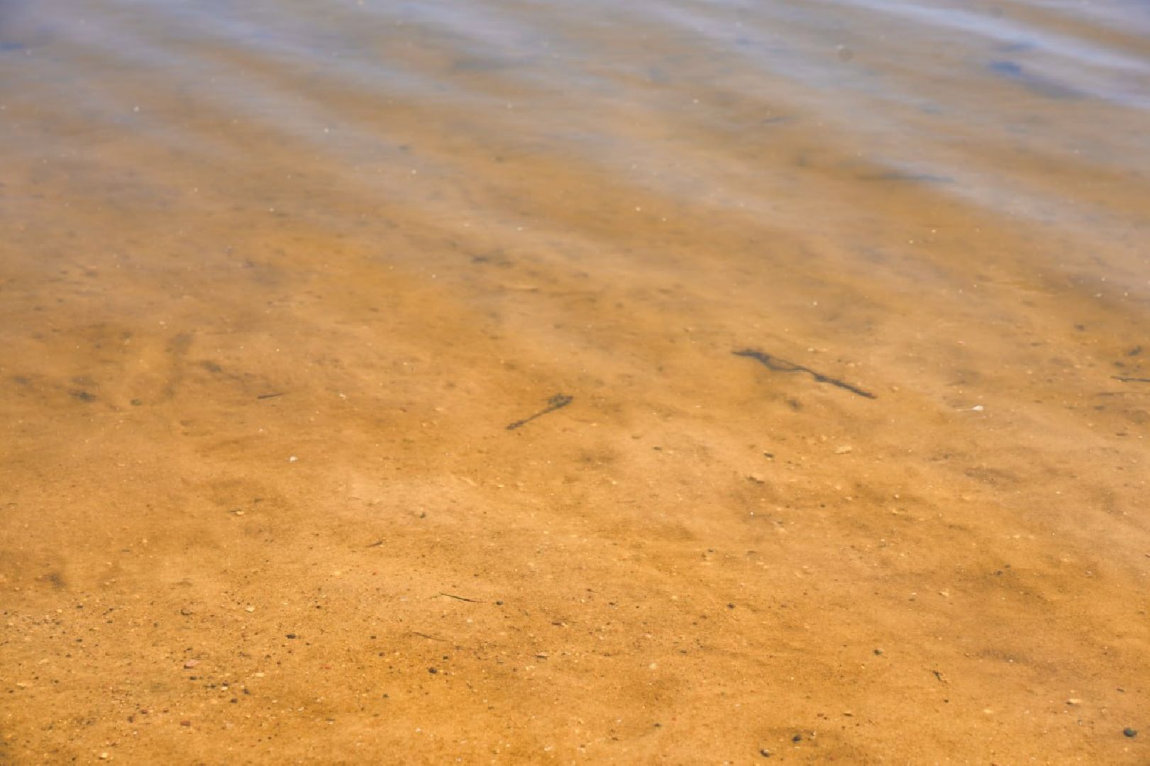 Сергиев Посад, Сергиево-Посадский городской округ, Лето, Пляжи, Водоемы, Благоустройство, Купание