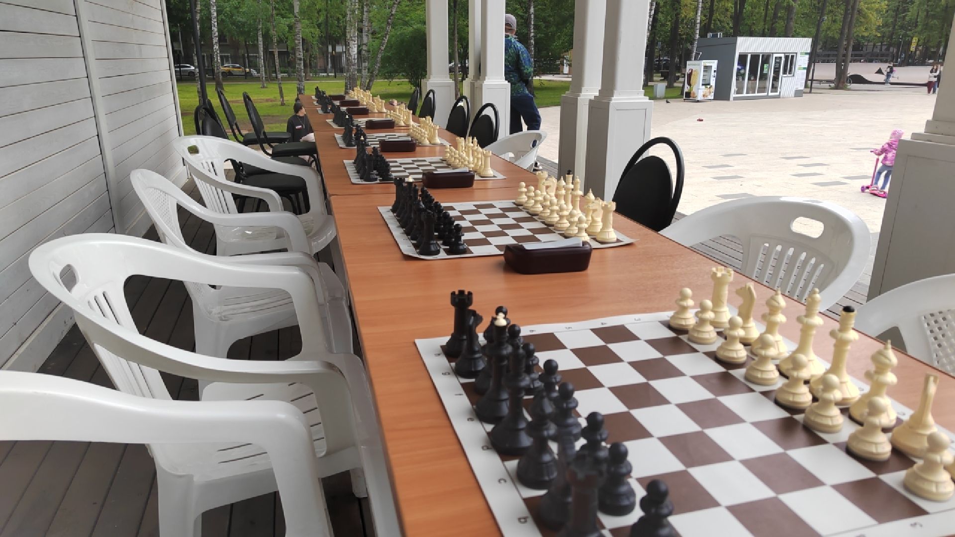 Пушкино, шахматы, молодежь, Кубок Губернатора Московской области