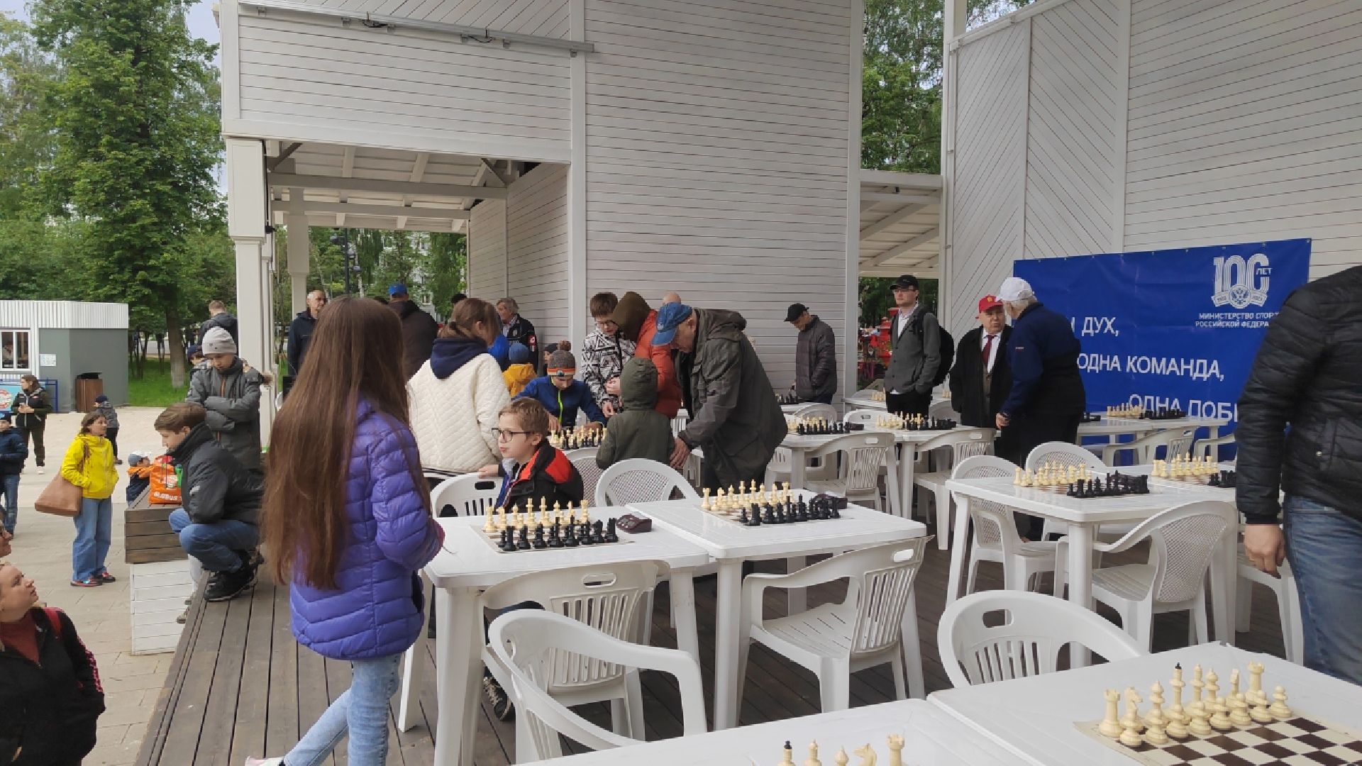 Пушкино, шахматы, молодежь, Кубок Губернатора Московской области