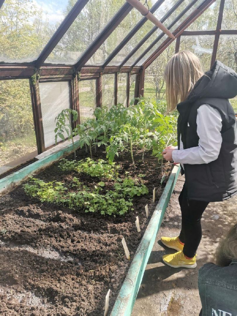 Шатура, Коробово, Лицей, учитель биологии, победители