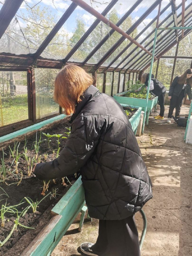 Шатура, Коробово, Лицей, учитель биологии, победители