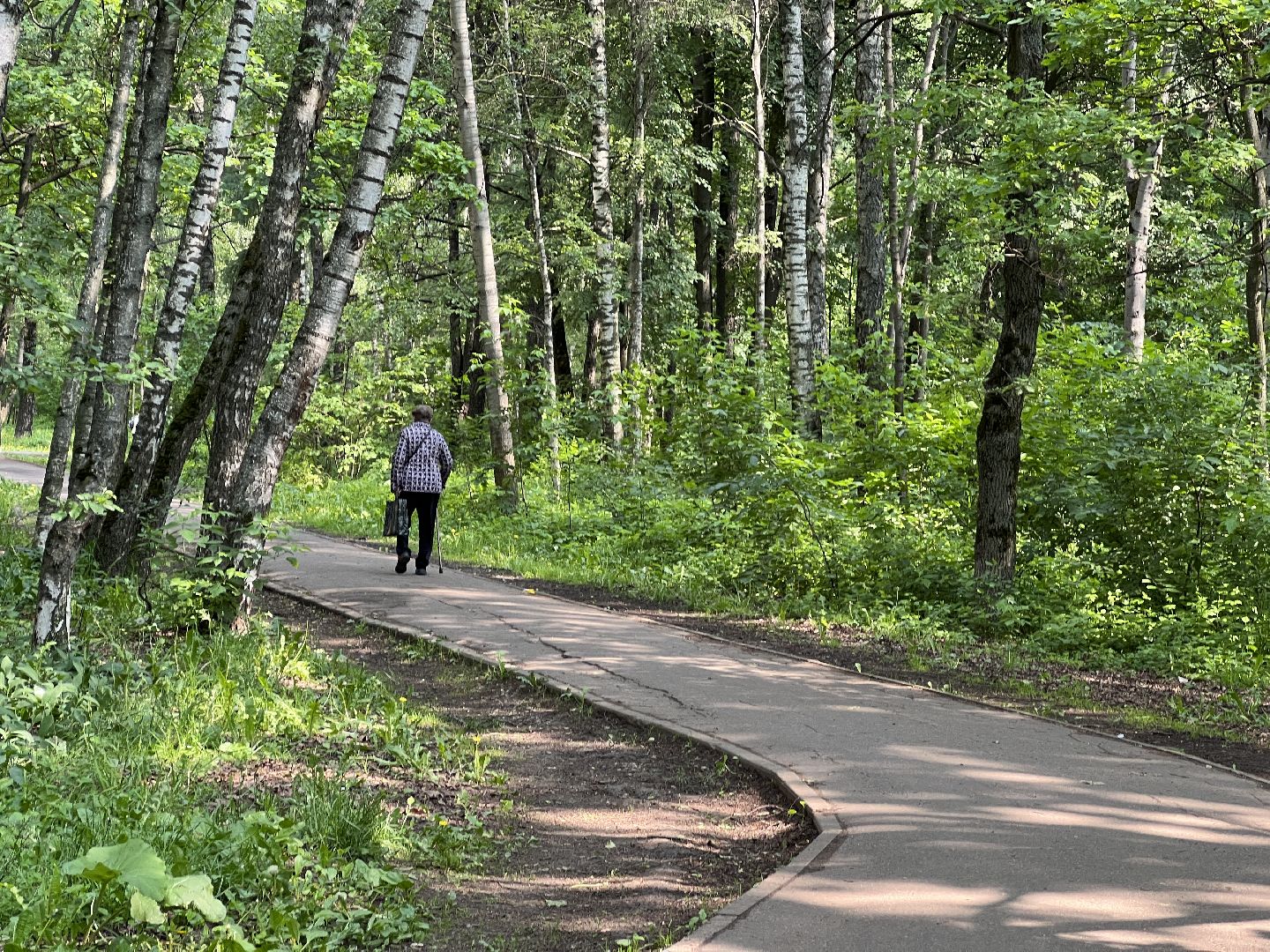Химки, благоустройство, голосование, парк