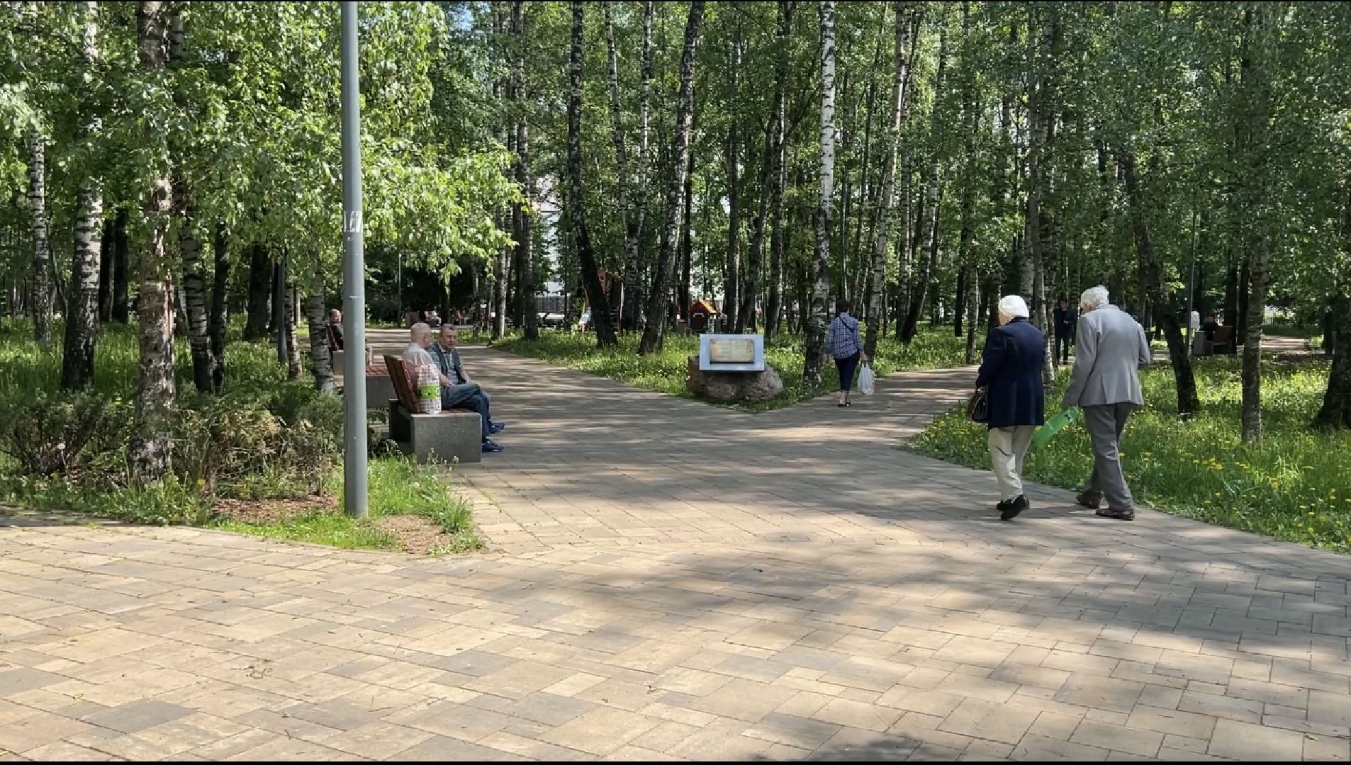 Химки, благоустройство, голосование, парк