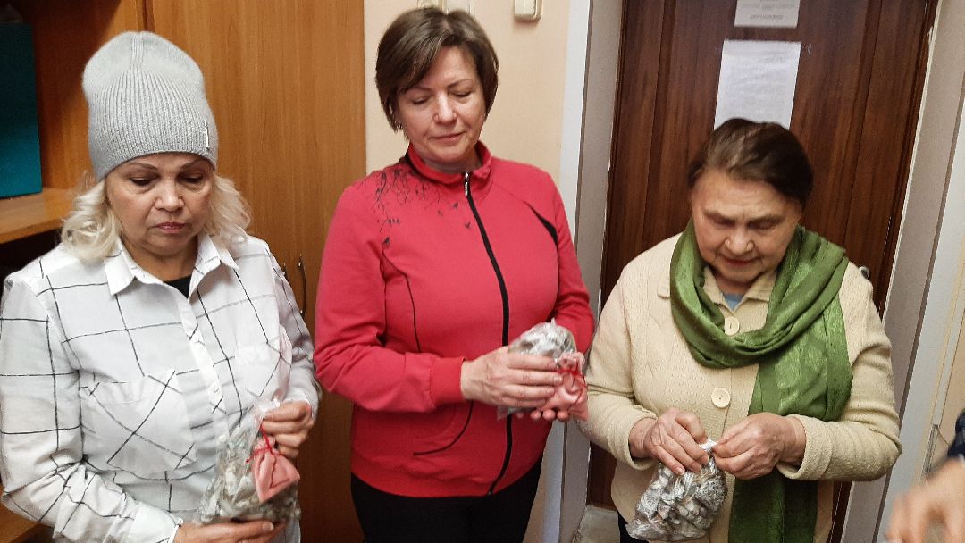 Серпухов, волонтеры