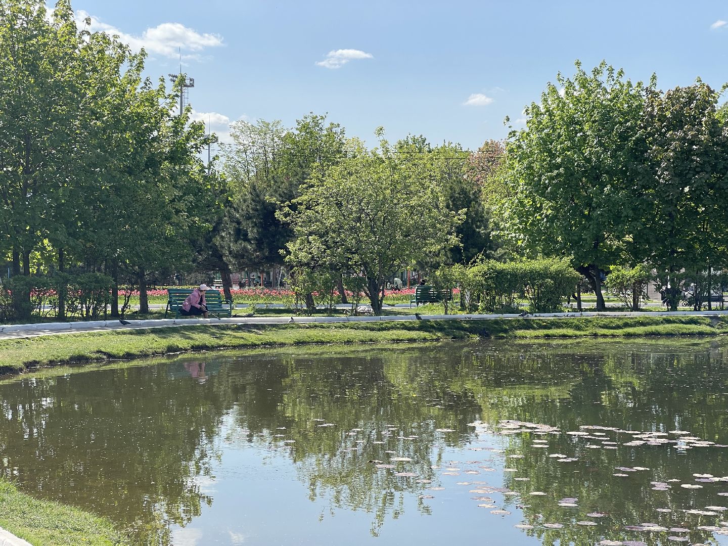 Одинцовский округ, благоустройство, парк, Раздолье, Захарово, парк Малевича, парк имени Лазутиной, Звенигород, питьевые фонтаны, туалеты, скамейки, площадки для выгула собак, почистить водоём, спортивные объекты